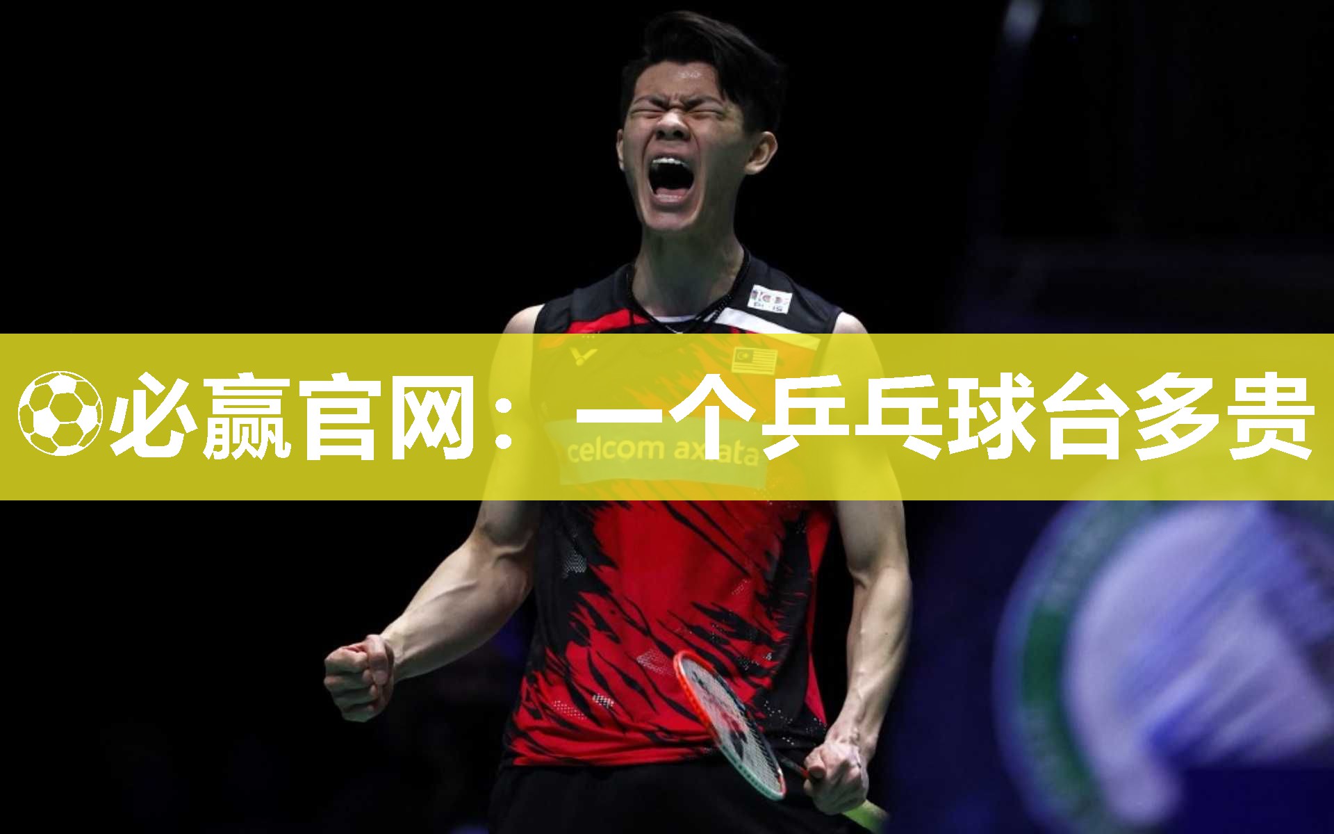 ⚽必赢官网：一个乒乓球台多贵