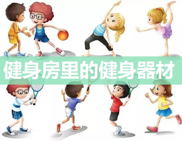 健身房里的健身器材