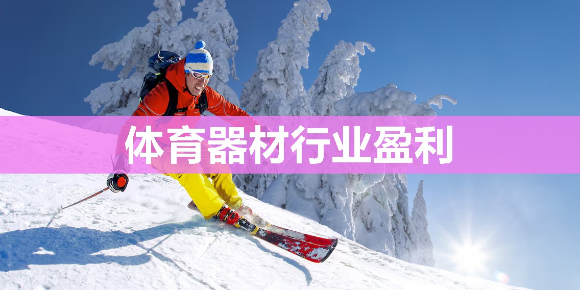 体育器材行业盈利