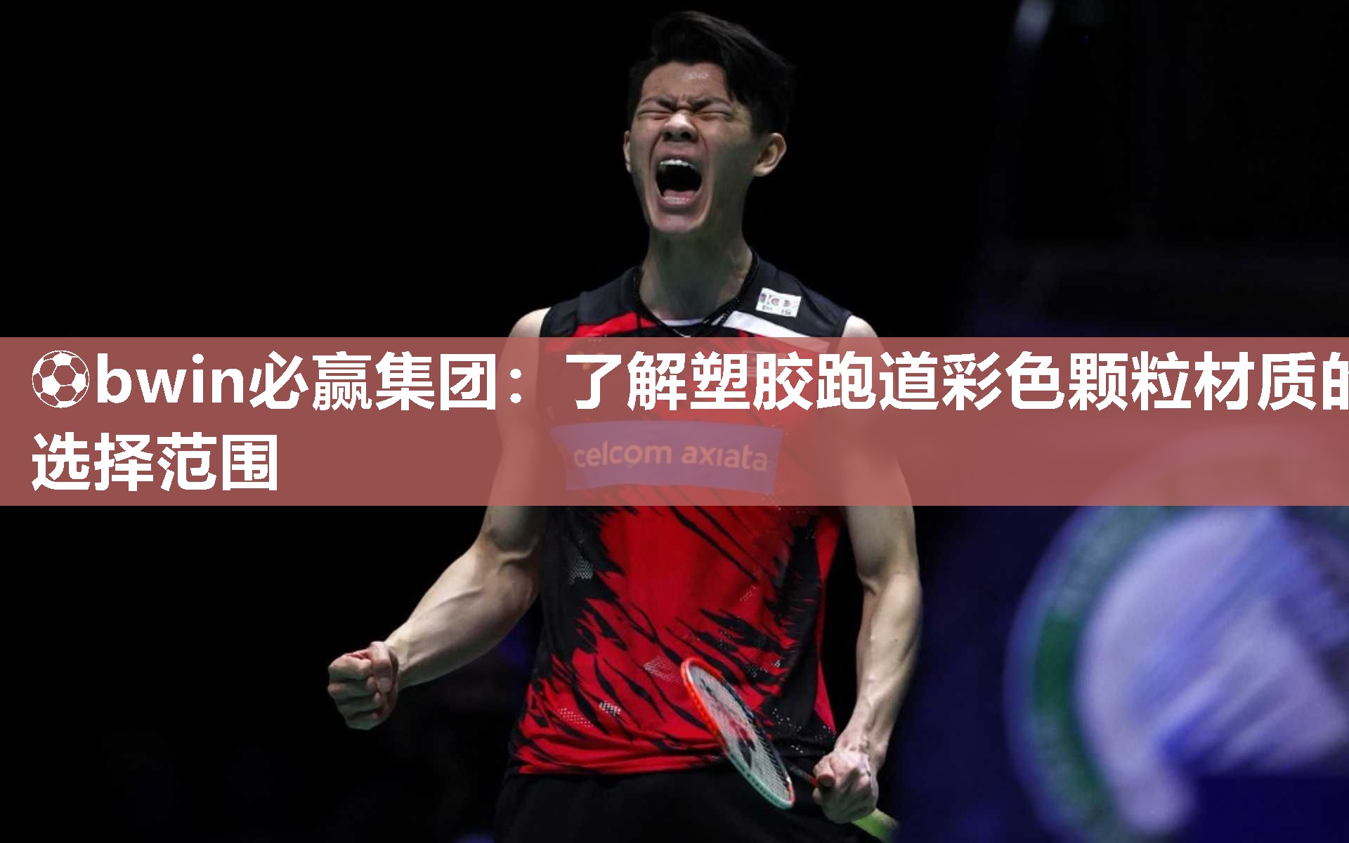 ⚽bwin必赢集团：了解塑胶跑道彩色颗粒材质的选择范围