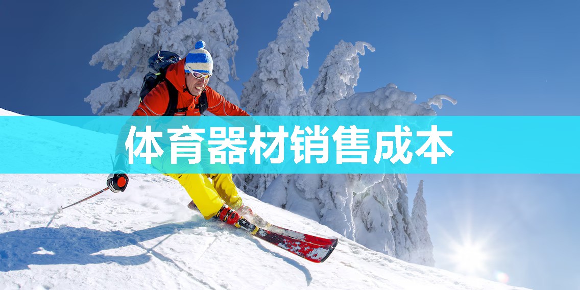 体育器材销售成本