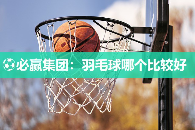 ⚽必赢集团：羽毛球哪个比较好