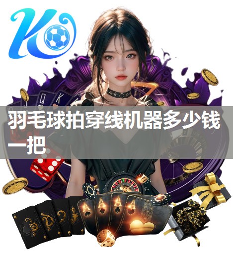 羽毛球拍穿线机器多少钱一把