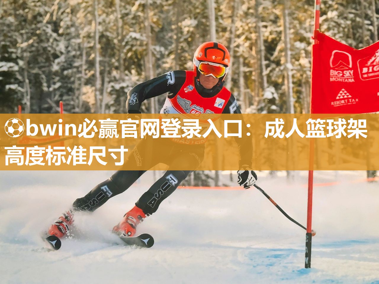 ⚽bwin必赢官网登录入口：成人篮球架高度标准尺寸