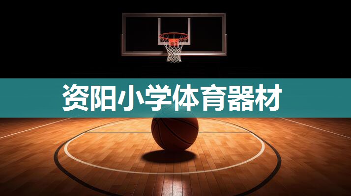 资阳小学体育器材