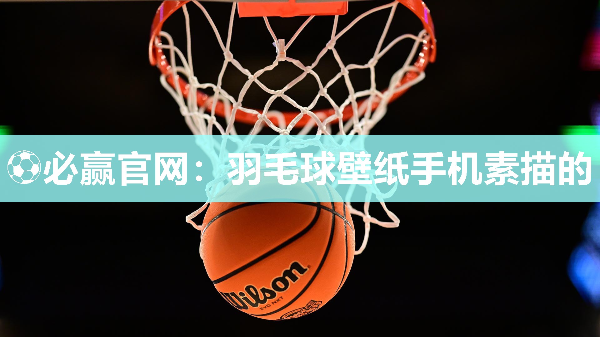 ⚽必赢官网：羽毛球壁纸手机素描的