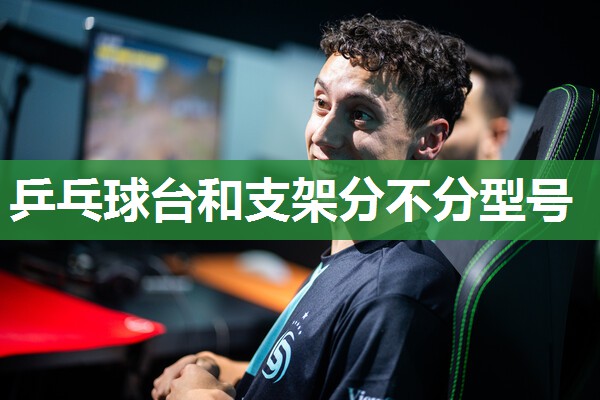 乒乓球台和支架分不分型号