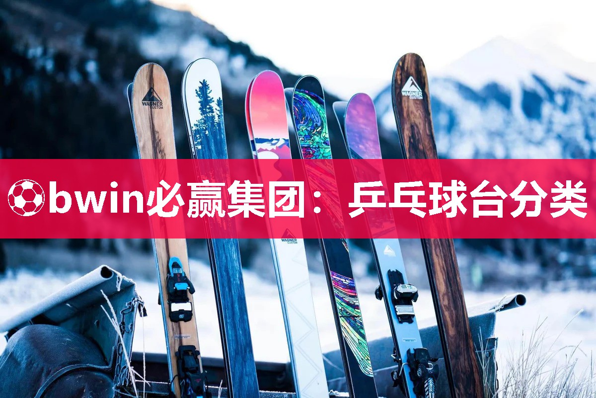乒乓球台分类