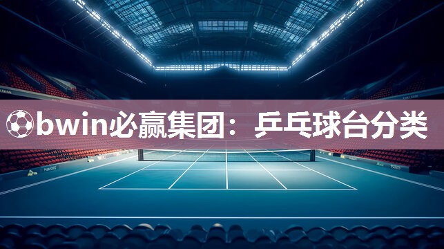 乒乓球台分类