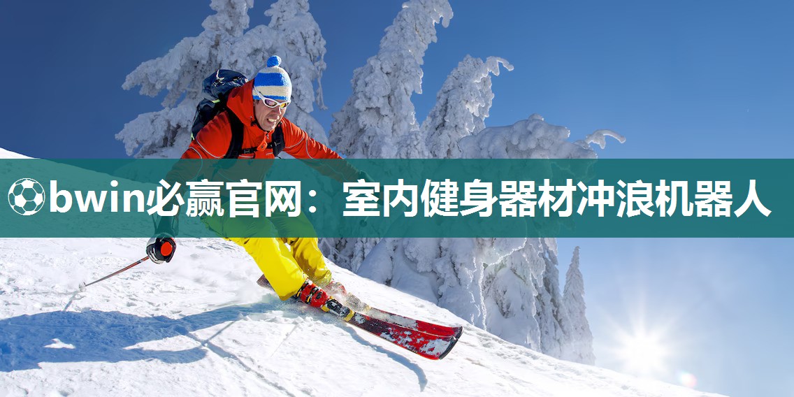 室内健身器材冲浪机器人