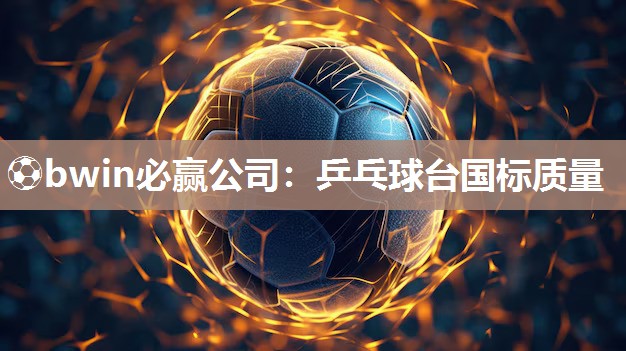 乒乓球台国标质量