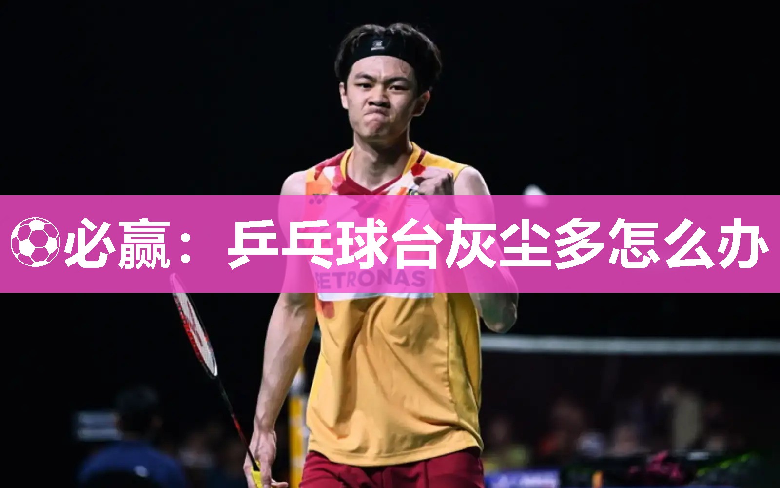 乒乓球台灰尘多怎么办