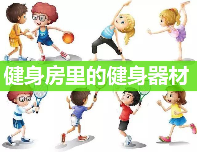 健身房里的健身器材
