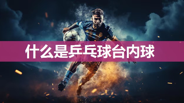 什么是乒乓球台内球