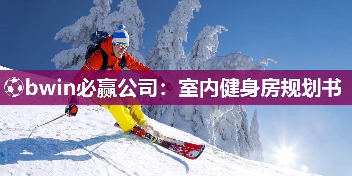 室内健身房规划书