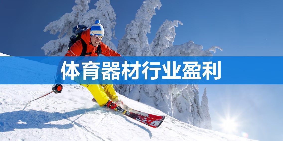 体育器材行业盈利