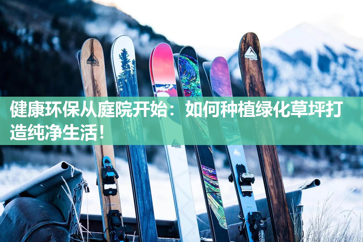 健康环保从庭院开始：如何种植绿化草坪打造纯净生活！