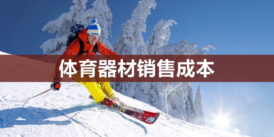 体育器材销售成本