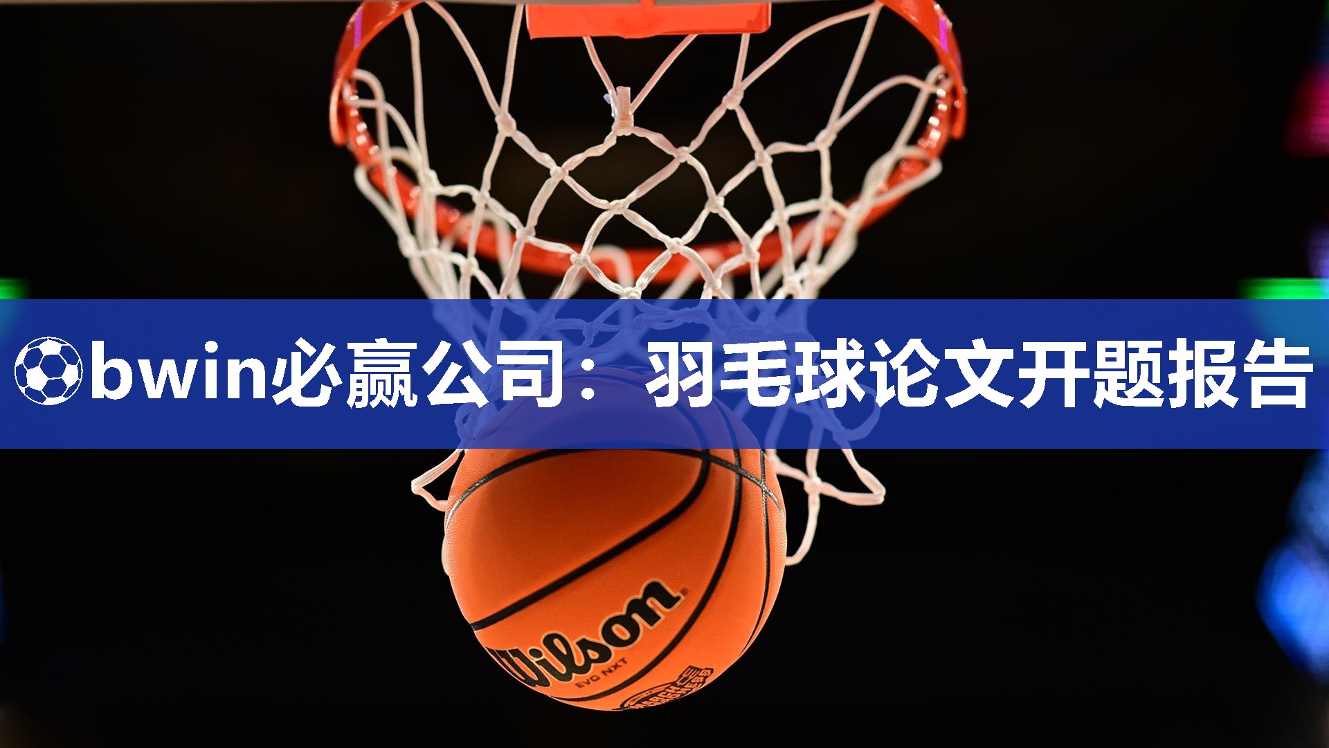 羽毛球论文开题报告