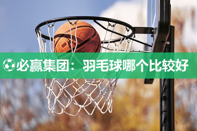 羽毛球哪个比较好