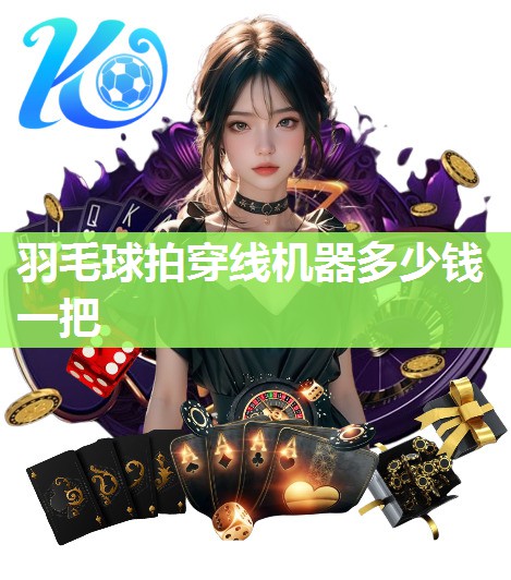 羽毛球拍穿线机器多少钱一把