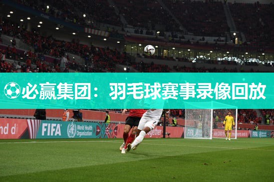 羽毛球赛事录像回放
