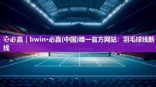 羽毛球线断线
