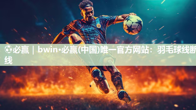 羽毛球线断线