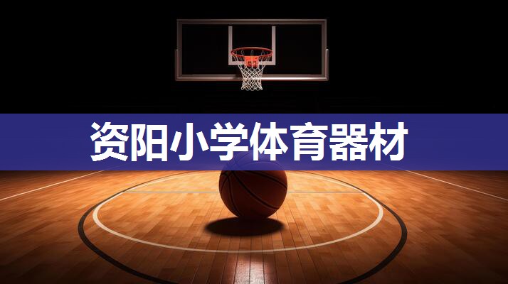 资阳小学体育器材