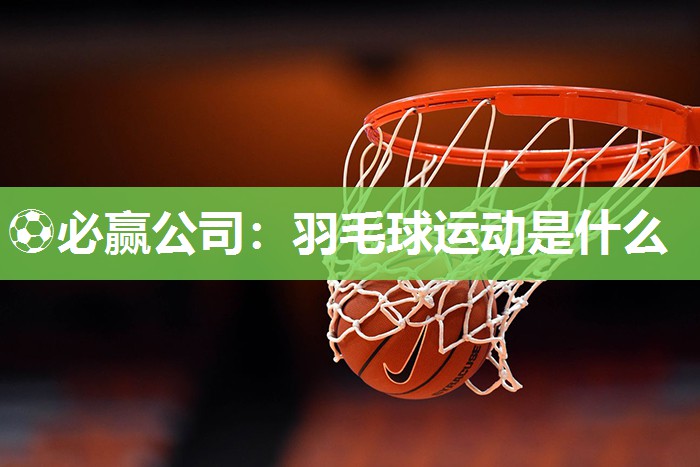羽毛球运动是什么