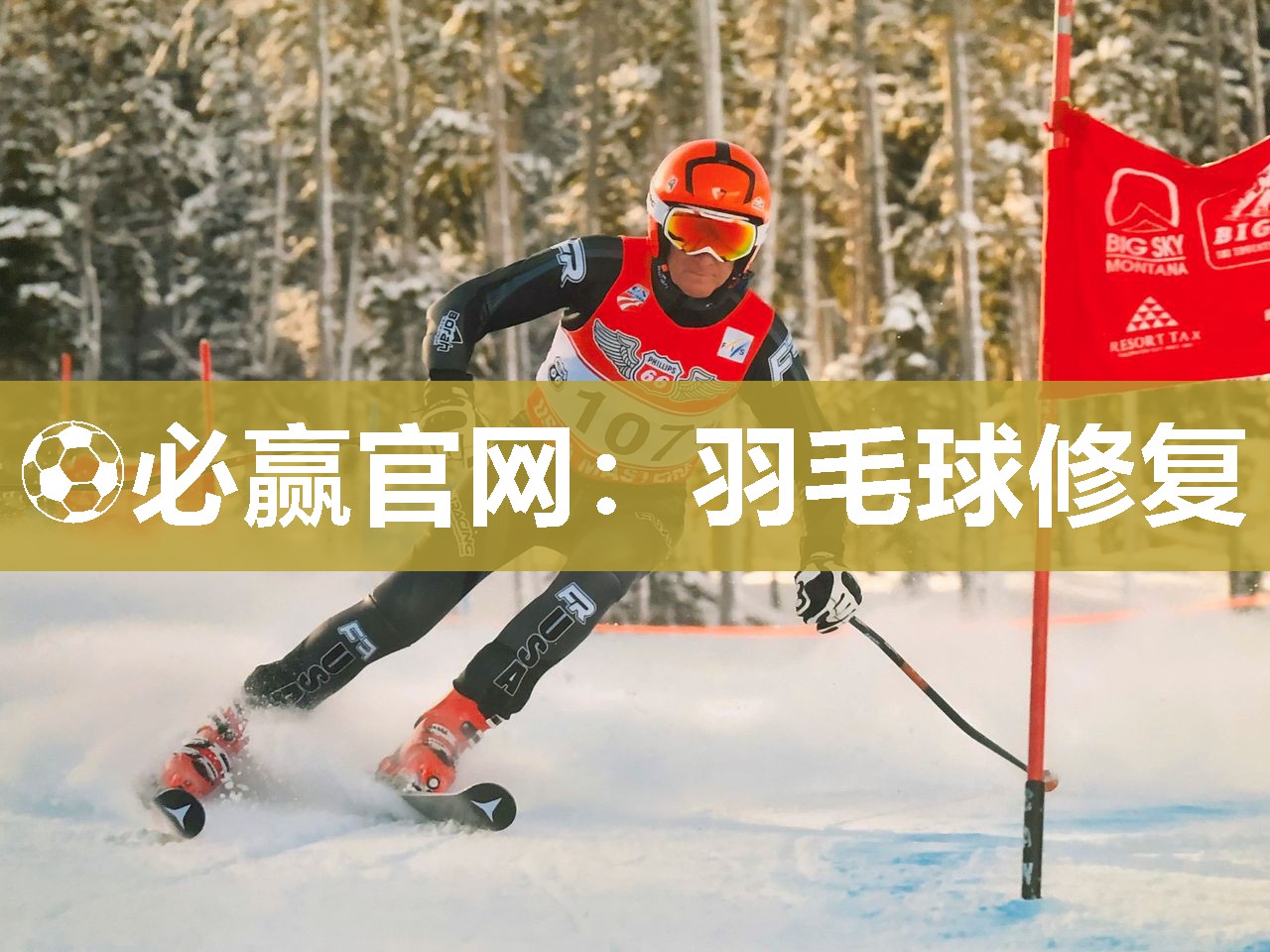 羽毛球修复