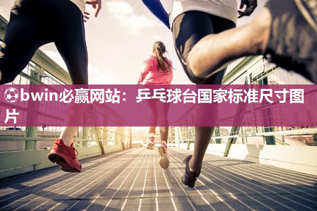 乒乓球台国家标准尺寸图片