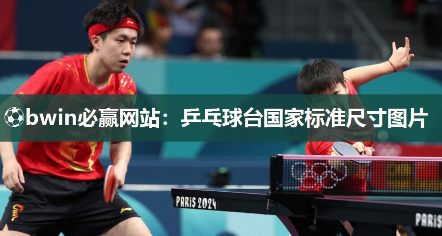 乒乓球台国家标准尺寸图片