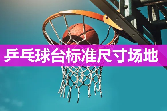 乒乓球台标准尺寸场地