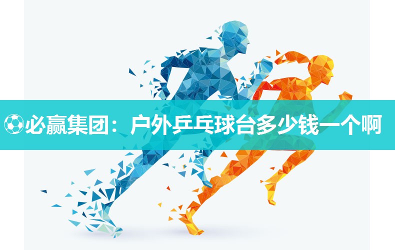 户外乒乓球台多少钱一个啊