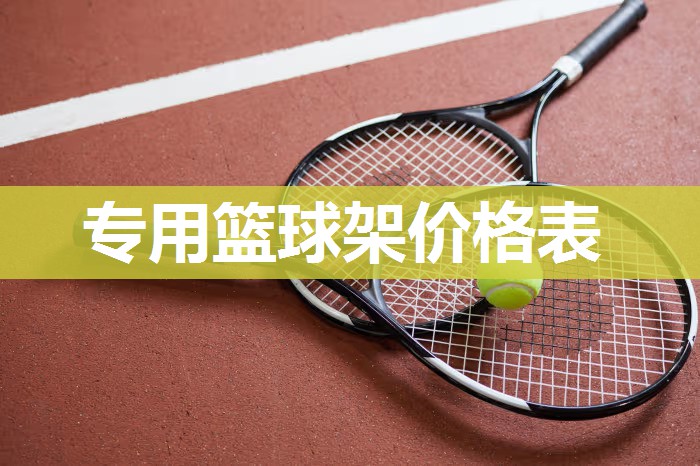 专用篮球架价格表