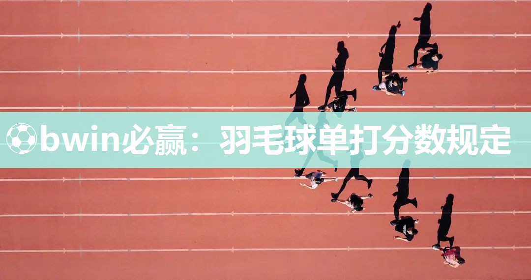 羽毛球单打分数规定