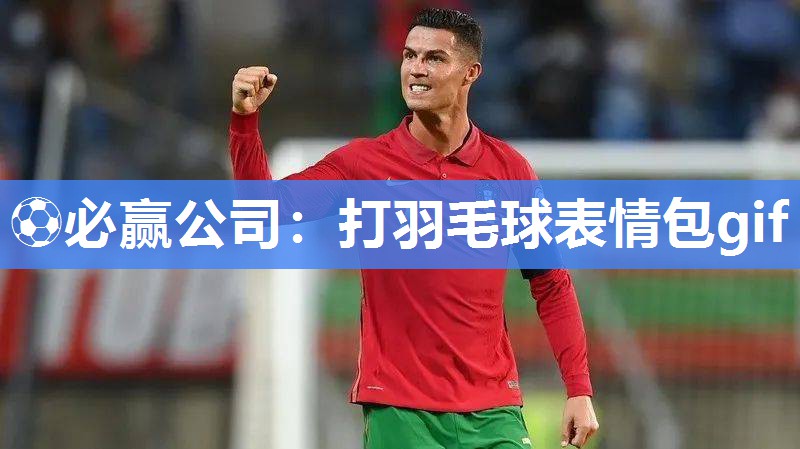 打羽毛球表情包gif
