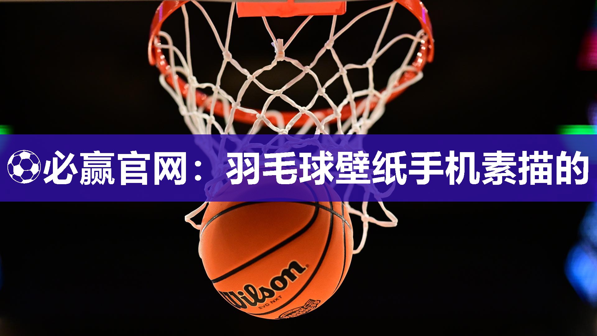 羽毛球壁纸手机素描的