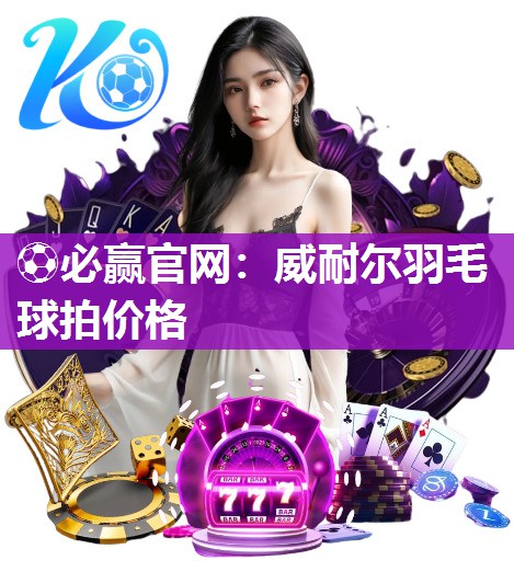 威耐尔羽毛球拍价格