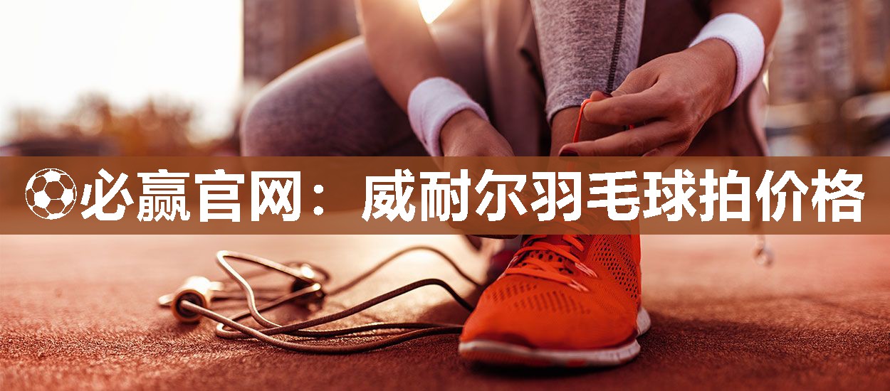 威耐尔羽毛球拍价格