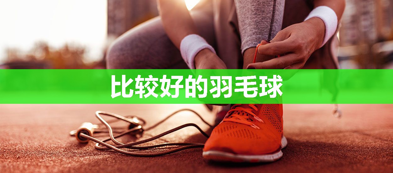 比较好的羽毛球