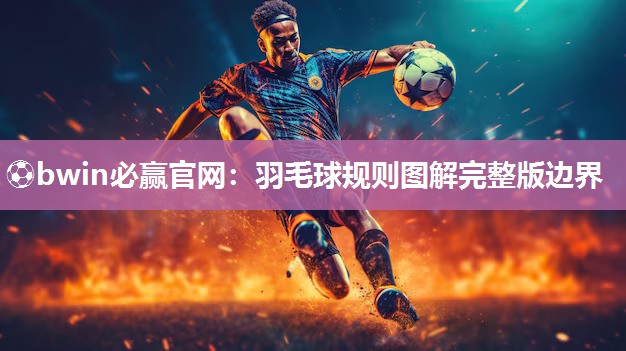 羽毛球规则图解完整版边界